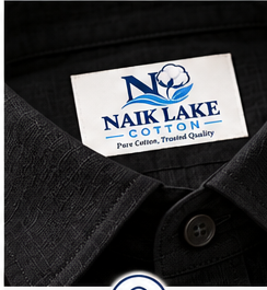 Naik Lake Premium Linen Shirt – Black